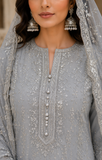 Silver Grey Embroidered Pakistani Suit with Luxury Net Dupatta