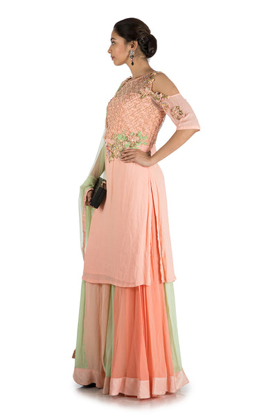 Anushree Agarwal Peach And Green Sharara Set