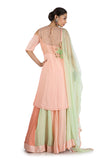 Anushree Agarwal Peach And Green Sharara Set