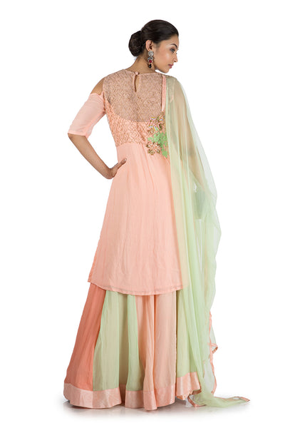 Anushree Agarwal Peach And Green Sharara Set