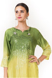 Anushree Agarwal Green and Lemon Shaded Salwar Suit